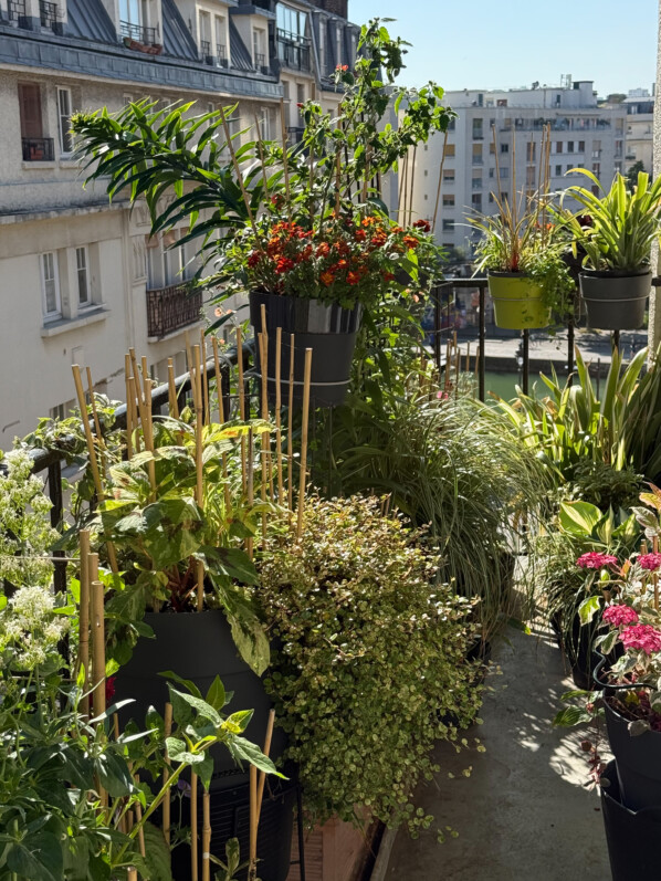 Soleil et températures estivales sur mon balcon parisien, Paris 19e (75)