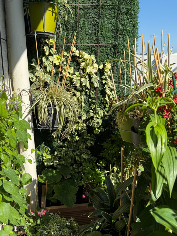 Soleil et températures estivales sur mon balcon parisien, Paris 19e (75)