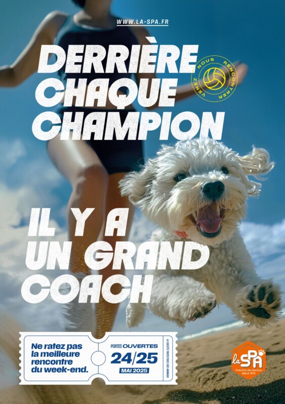 Portes Ouvertes de la SPA les 24 et 25 mai 2025 : Adoptez votre champion du quotidien !