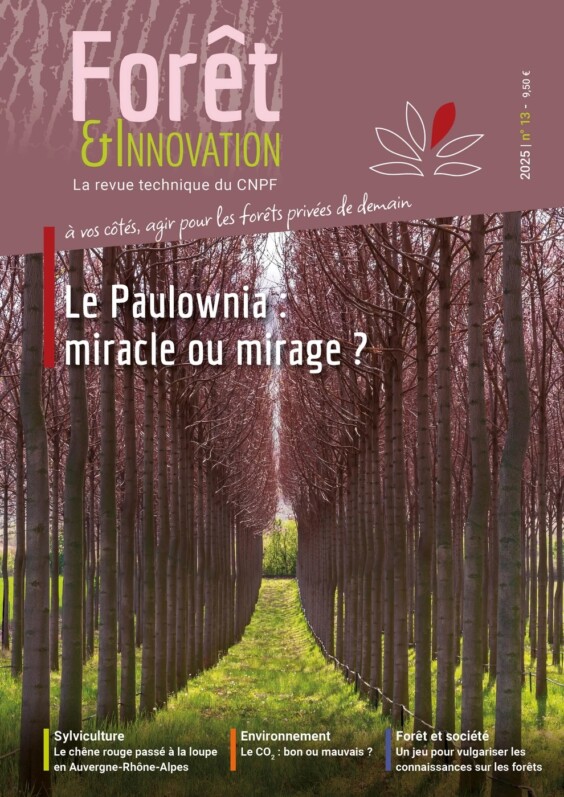 Forêt & Innovation n°13 – Le paulownia : miracle ou mirage ?