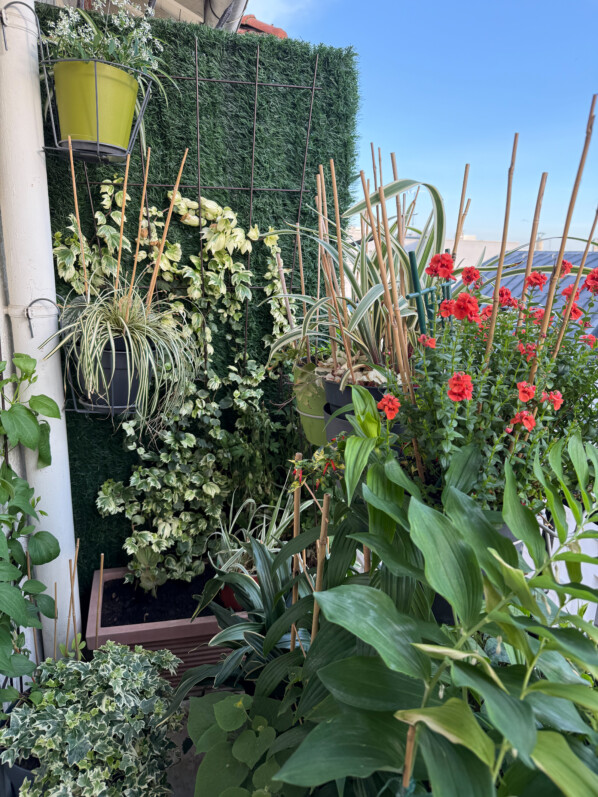 Au printemps sur mon balcon parisien, Paris 19e (75)