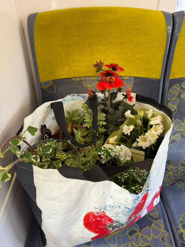 Achats de plantes pour mon balcon, RER B, Le Plessis-Robinson (92)