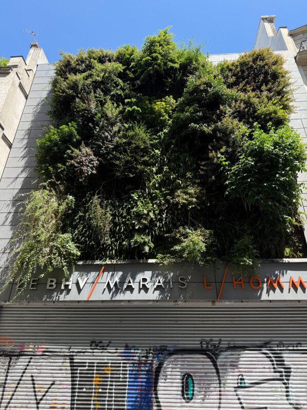 Mur végétal réalisé par Patrick Blanc, BHV Homme, rue de la Verrerie, Paris 4e (75)