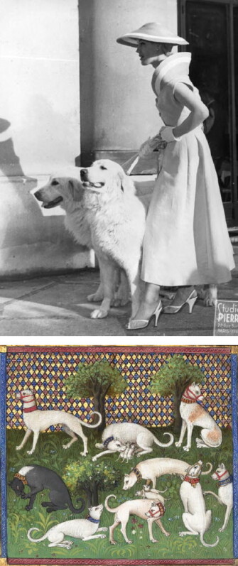 Musée du chien, Centrale Canine, Aubervilliers (93)
