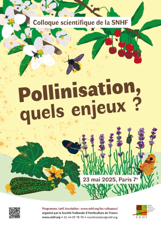 Vendredi 23 mai 2025, colloque scientifique de la Société Nationale d’Horticulture de France : Pollinisation, quels enjeux ?