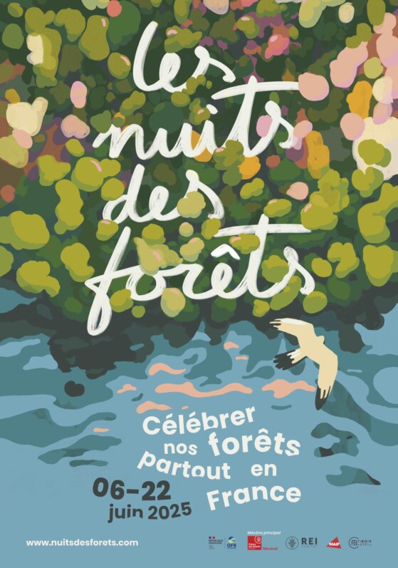 Le festival des Nuits des Forêts revient du 6 au 22 juin 2025 partout en France
