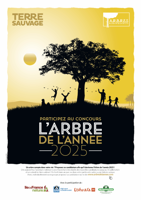 Et si votre arbre devenait l’Arbre de l’Année 2025 ?