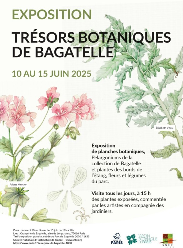 Exposition “Trésors botaniques de Bagatelle” du 11 au 15 juin 2025