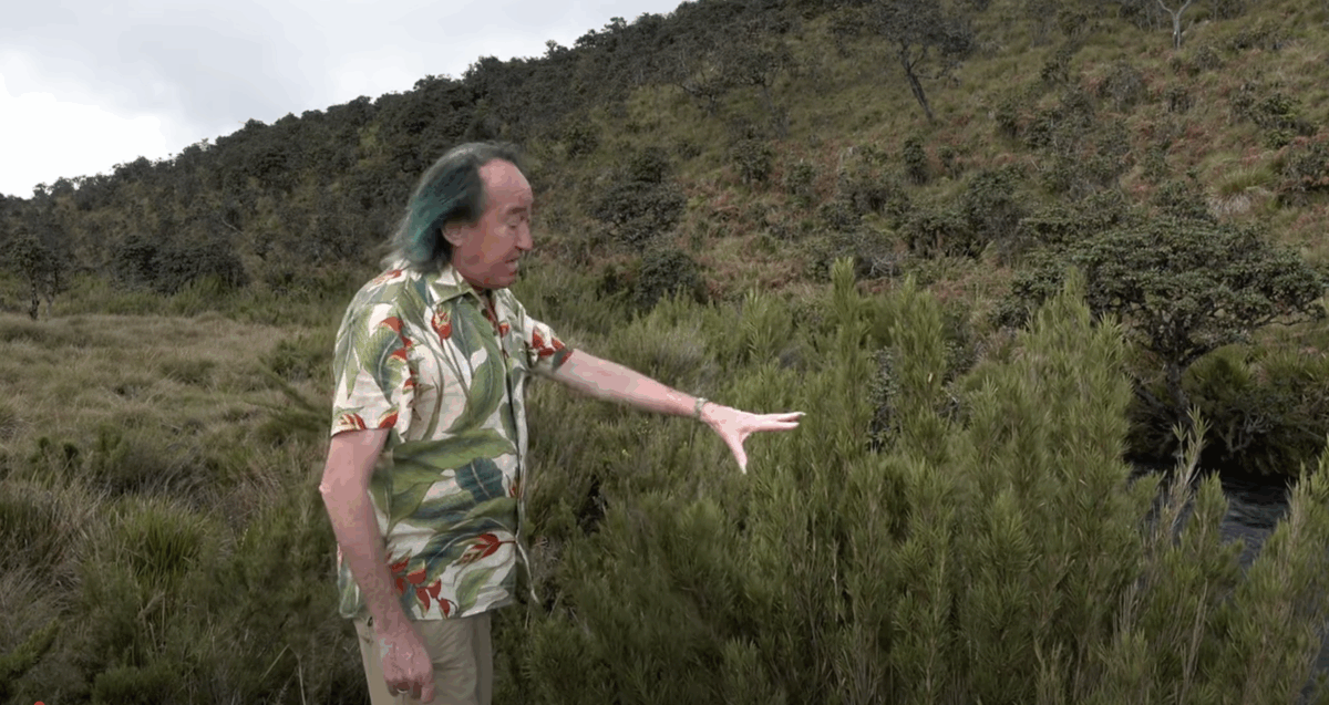 Périple botanique de Patrick Blanc et Pascal Héni à Horton Plains (Sri Lanka)