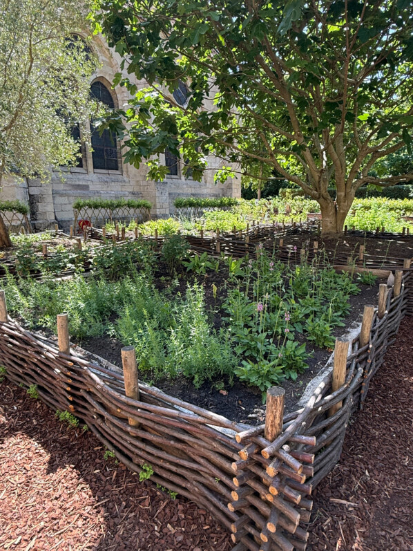 Abbaye de Royaumont : une nouvelle collection de plantes du jardin des “9 carrés” inspiré par Hildegard von Bingen