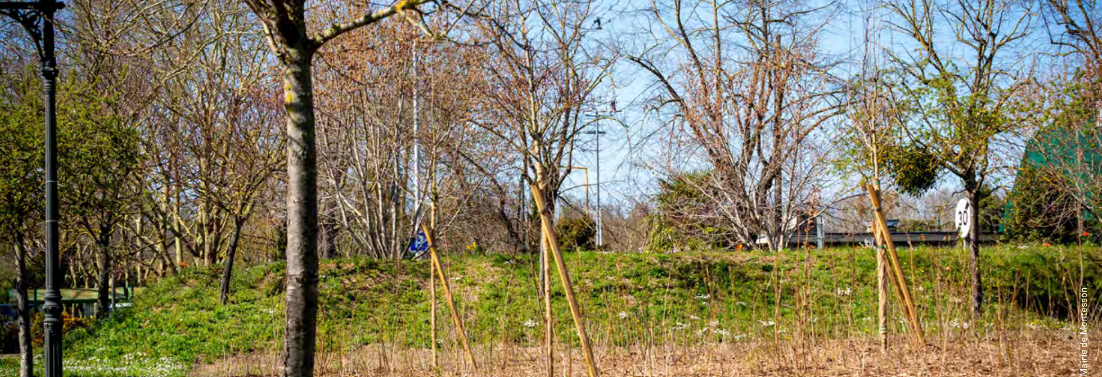 Micro-forêt urbaine, ARB îdF