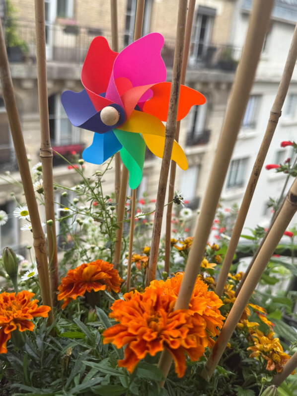 Installation de petits moulins à vent sur mon balcon parisien