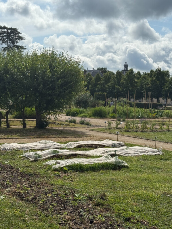 Domaine de la Grange-la-Prévoté, Savigny-le-Temple (77)