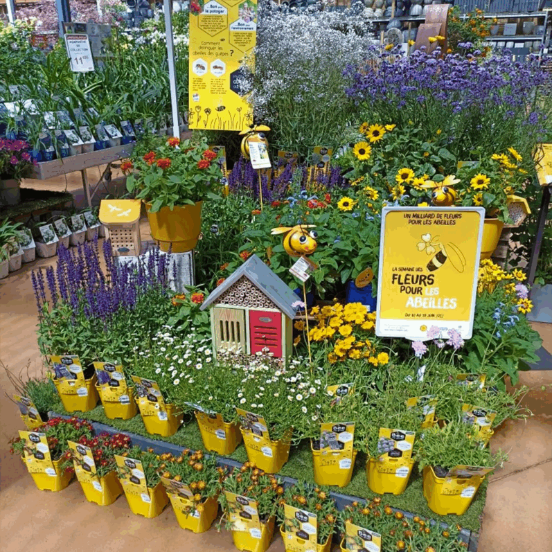 Semaine des fleurs pour les abeilles, SFA, Jardiland
