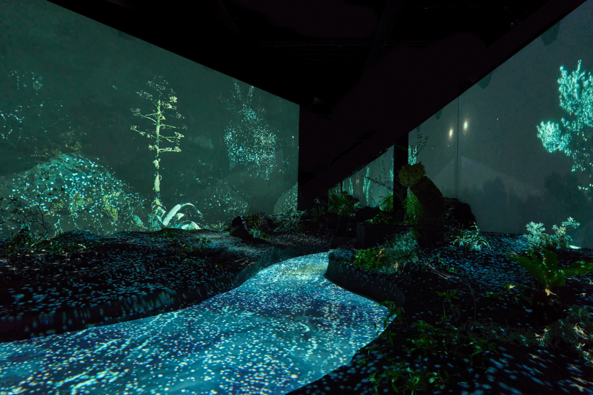Topologie de l’Eau Roches Plantes et Vent, Amorepacific Foundation, Centre Culturel Coréen, Paris 8e (75)