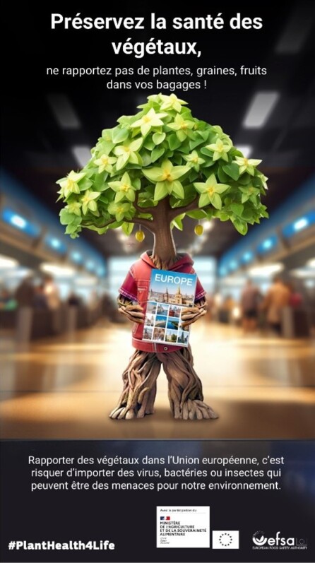 Pour sa troisième édition, la campagne #PlantHealth4Life invite les citoyens à devenir ambassadeurs de la santé des végétaux