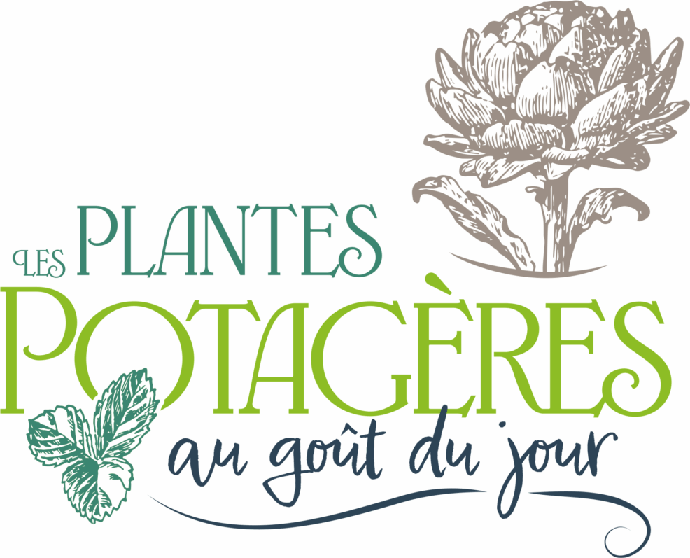 Exposition “Les plantes potagères au goût du jour” dans les plus grands potagers de France