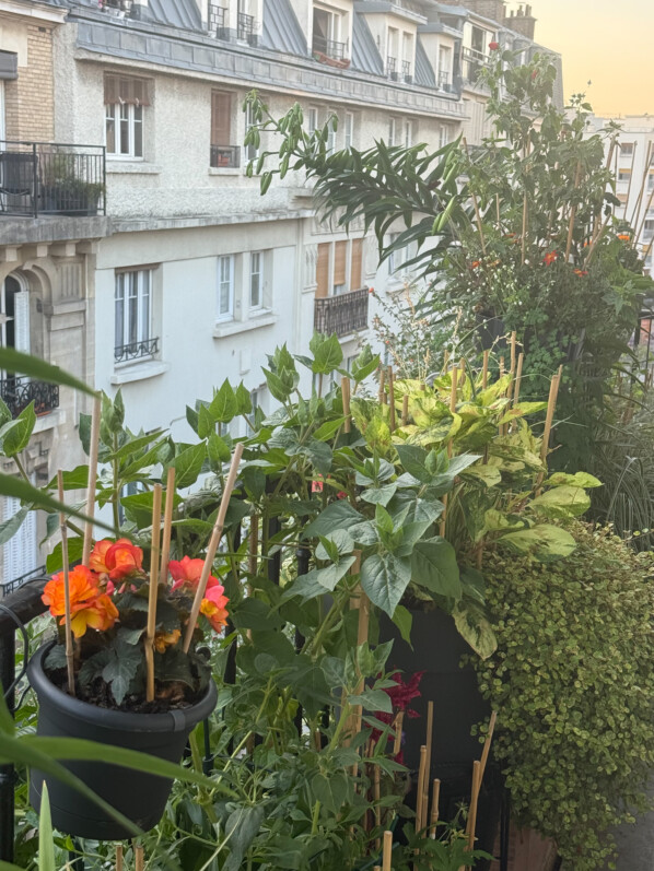 Ah, la chaleur est accablante !