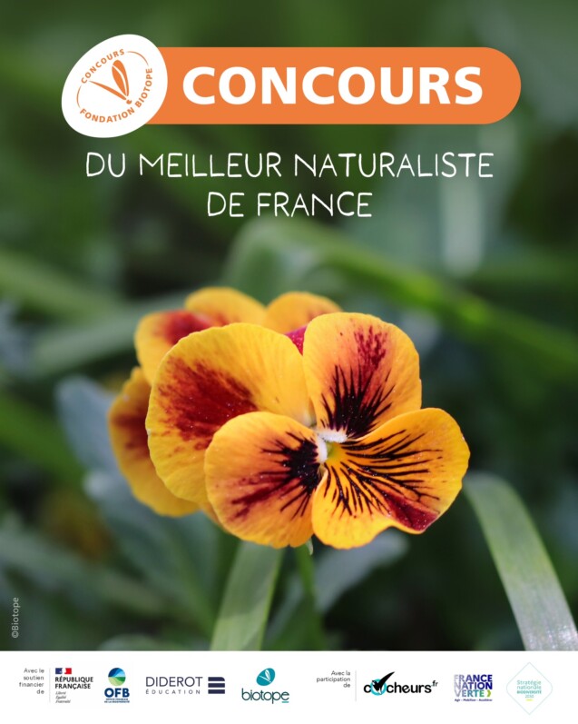 2ème édition du Concours du “Meilleur Naturaliste de France” avec une nouveauté, le Concours du “Meilleur Ornithologue de France”
