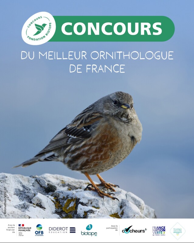 Concours du Meilleur ornithologue de France, Fondation Biotope, 2025