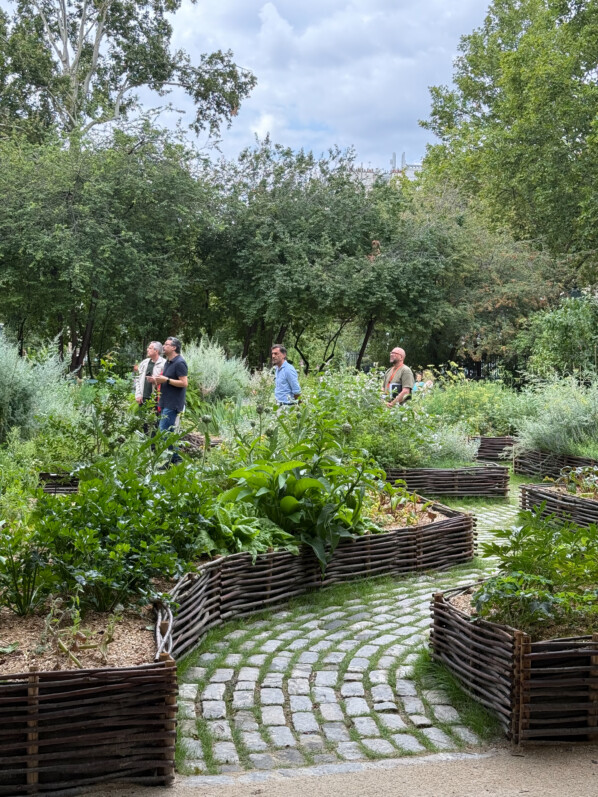 Jardin médiéval du musée de Cluny, Paris 5e (75)