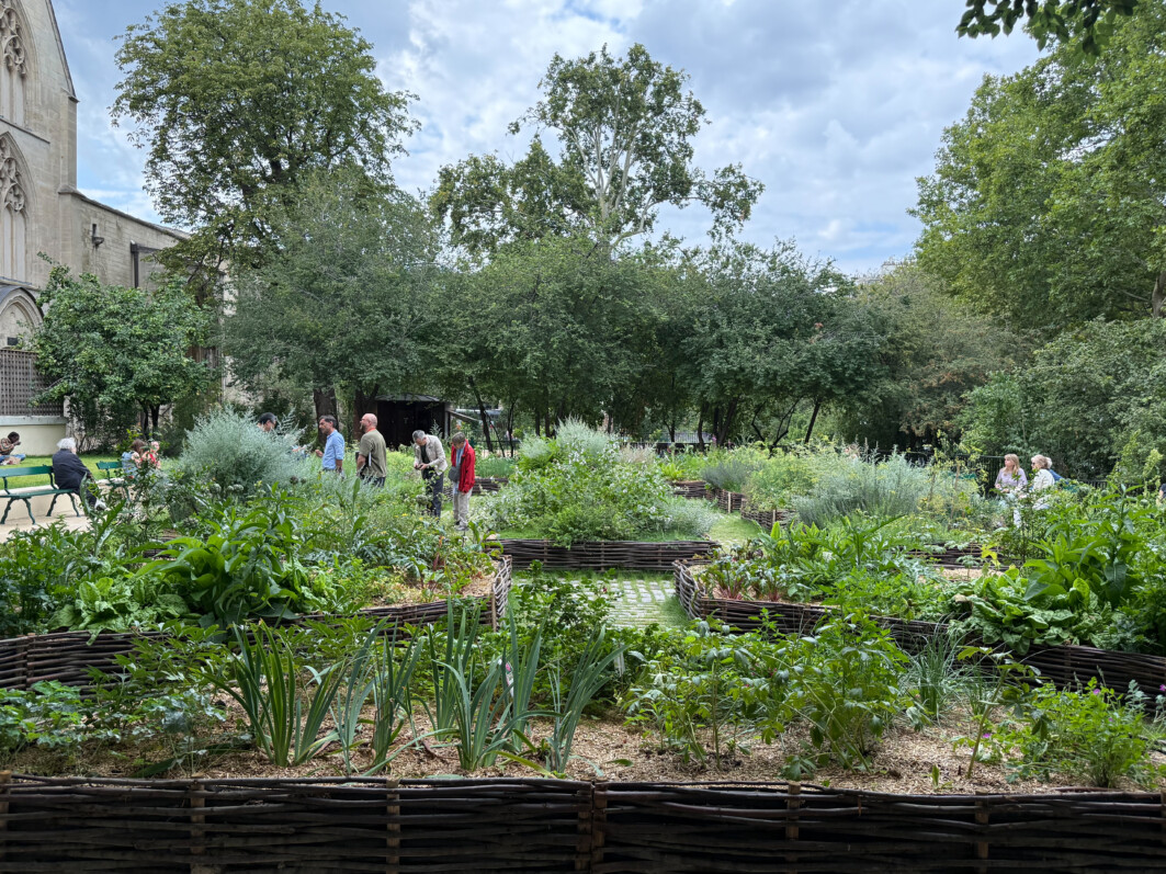 Jardin médiéval du musée de Cluny, Paris 5e (75)