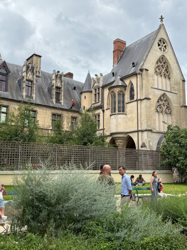 Réouverture du jardin public du musée de Cluny : 4000 m² de nature au coeur de Paris