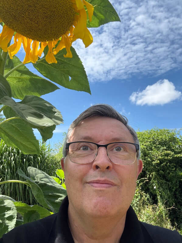 À l’ombre d’un tournesol géant