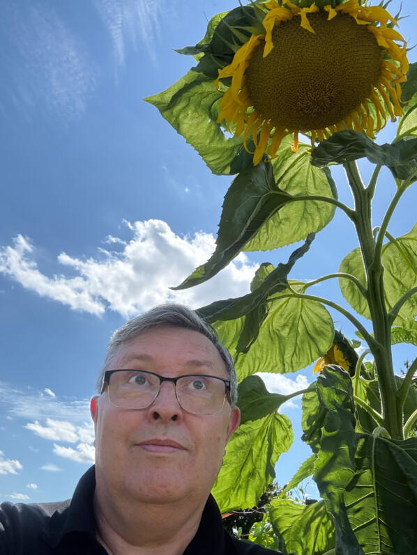 Autoportrait (selfie) d'Alain Delavie, tournesol géant, École Du Breuil, Paris 12e (75)