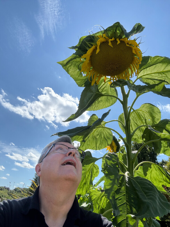 Autoportrait (selfie) d'Alain Delavie, tournesol géant, École Du Breuil, Paris 12e (75)