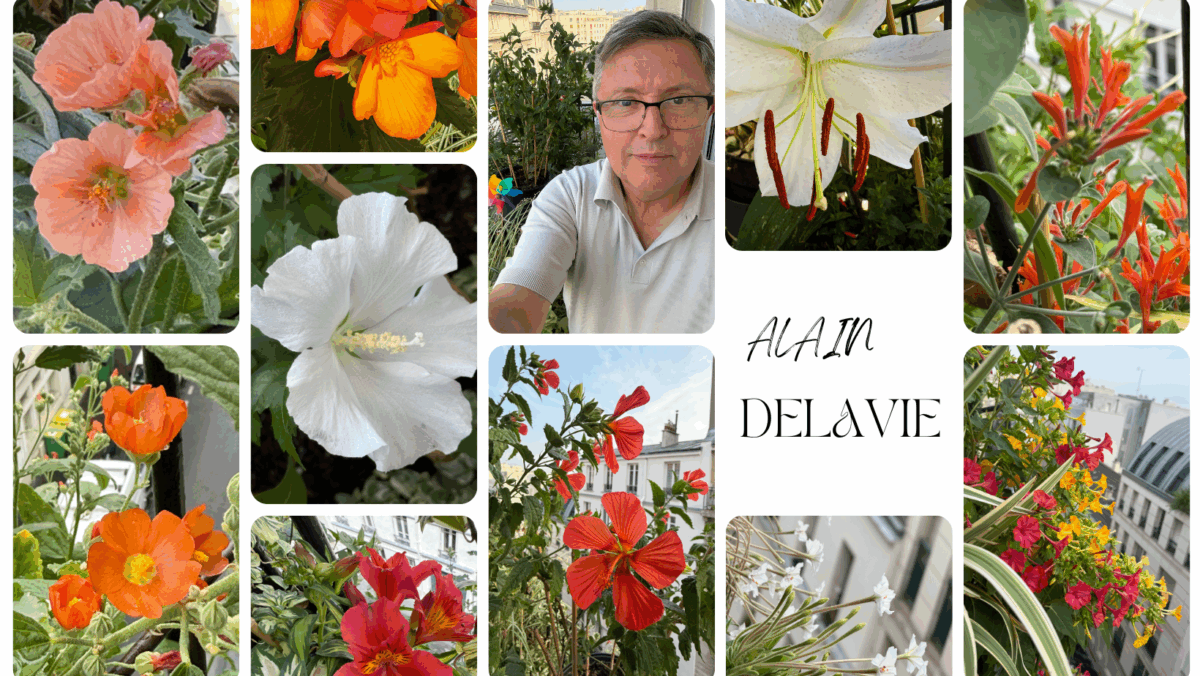Arrêt de mon blog mais rendez-vous sur mes pages de réseaux sociaux