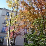 L'automne dans le square Louis Majorelle, Paris 11e (75)