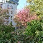 L'automne dans le square Louis Majorelle, Paris 11e (75)