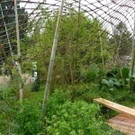 Jardin éphémère