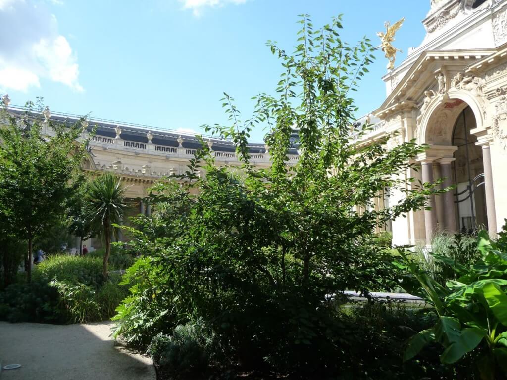 Connaissez-vous le jardin du Petit Palais (Paris 8e ...