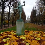 Fleurissement d'automne dans Paris