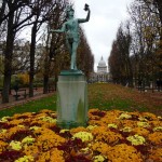 Fleurissement d'automne dans Paris