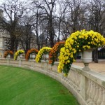 Fleurissement d'automne dans Paris