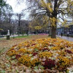 Fleurissement d'automne dans Paris