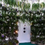 Orchidées et plantes d'intérieur sous bulle sur la place Colette
