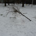 Forte chute de neige sur Paris