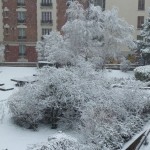 Forte chute de neige sur Paris