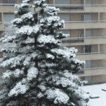 Forte chute de neige sur Paris