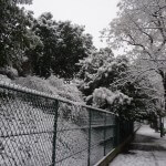 Forte chute de neige sur Paris