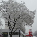 Forte chute de neige sur Paris