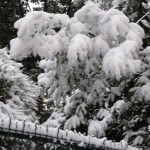 Forte chute de neige sur Paris