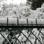 Forte chute de neige sur Paris