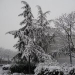 Forte chute de neige sur Paris