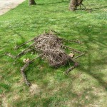 Land Art : araignée géante