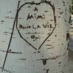 Graffiti sur arbre